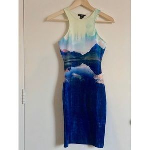 H&M Limited Edition Racer Tank Dress
